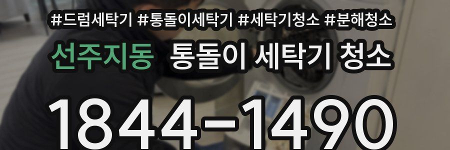 선주지동 통돌이 세탁기 청소