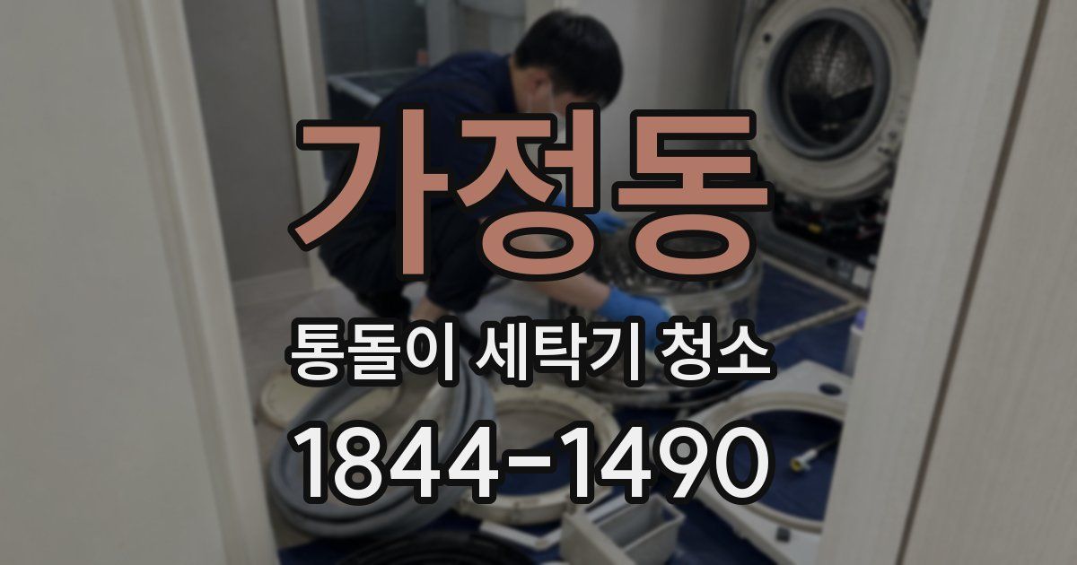 가정동 통돌이 세탁기 청소