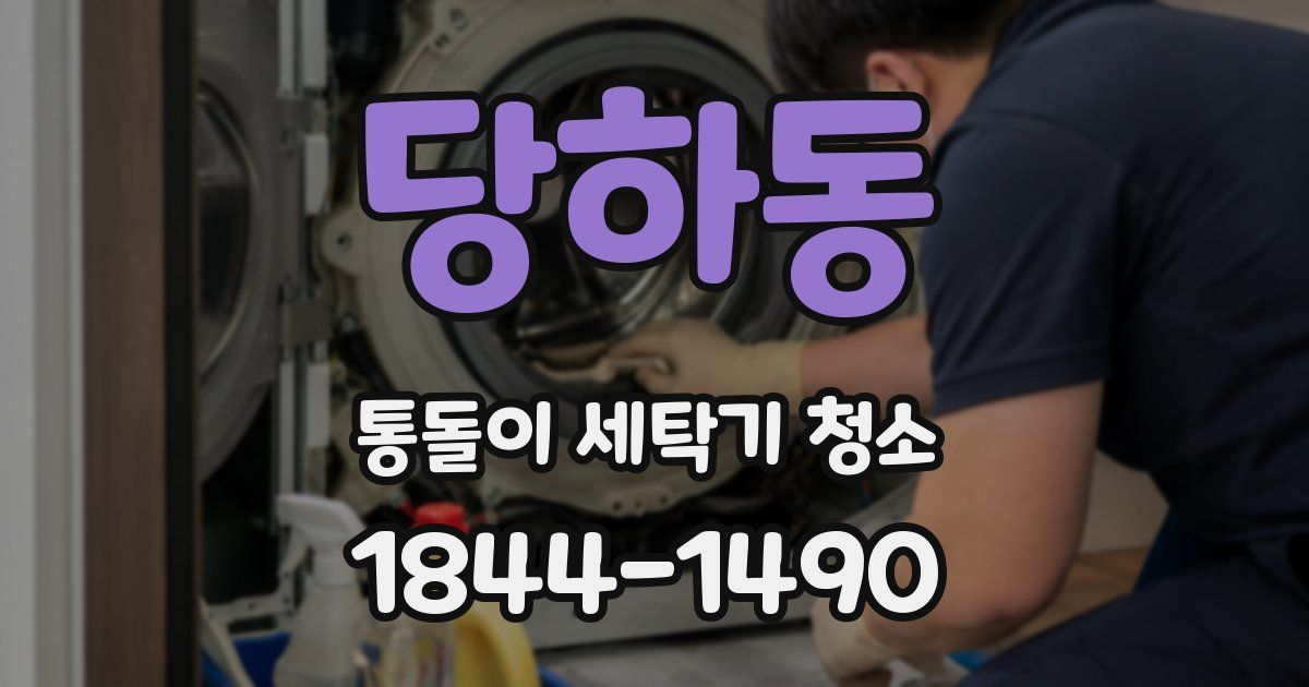 당하동 통돌이 세탁기 청소