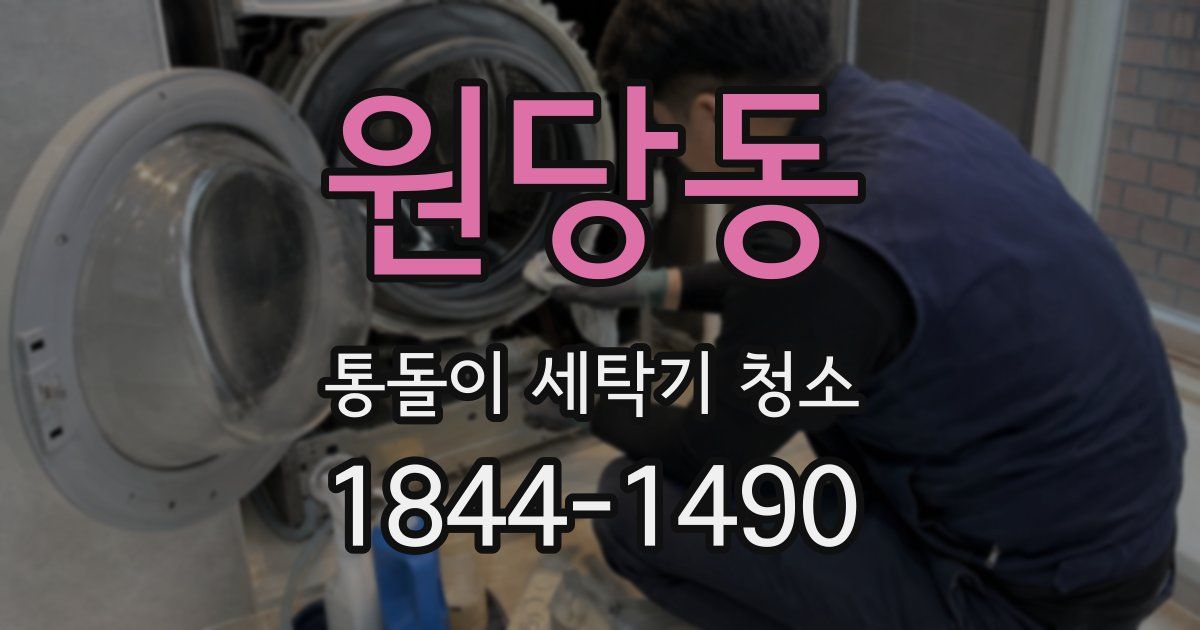 원당동 통돌이 세탁기 청소