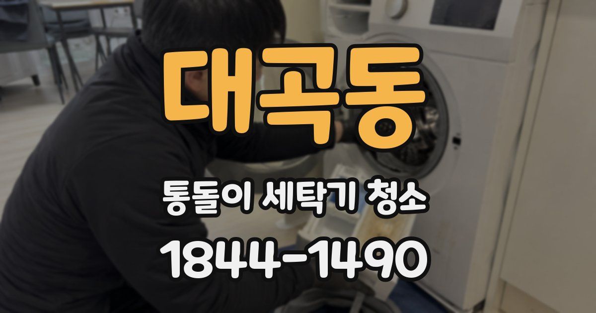 대곡동 통돌이 세탁기 청소