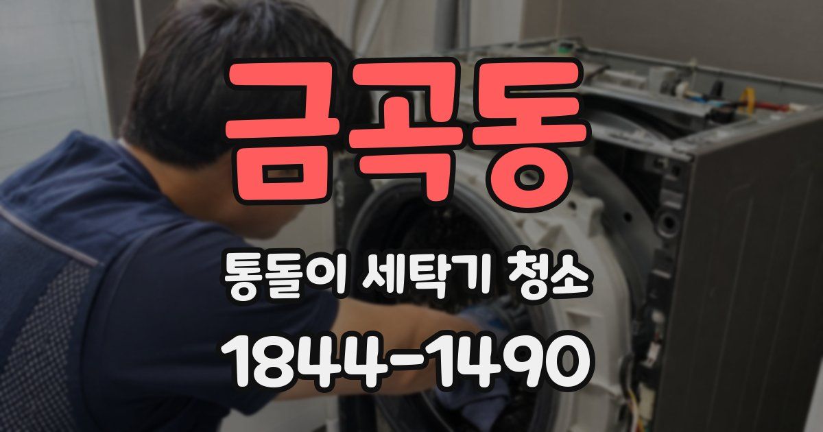 금곡동 통돌이 세탁기 청소