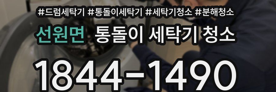 선원면 통돌이 세탁기 청소
