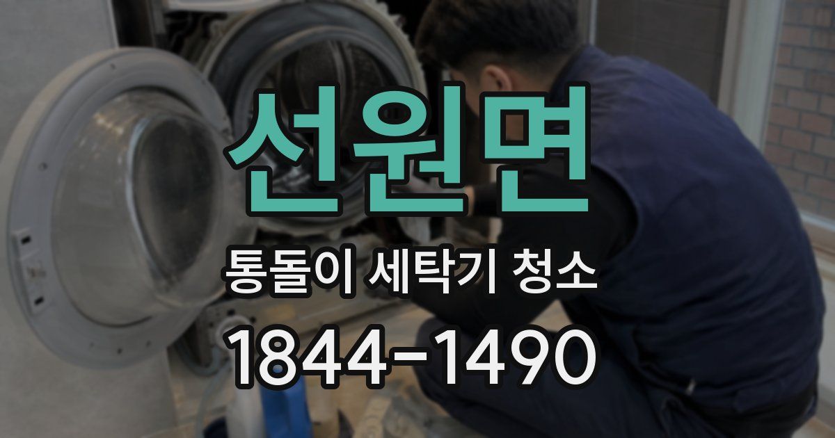 선원면 통돌이 세탁기 청소