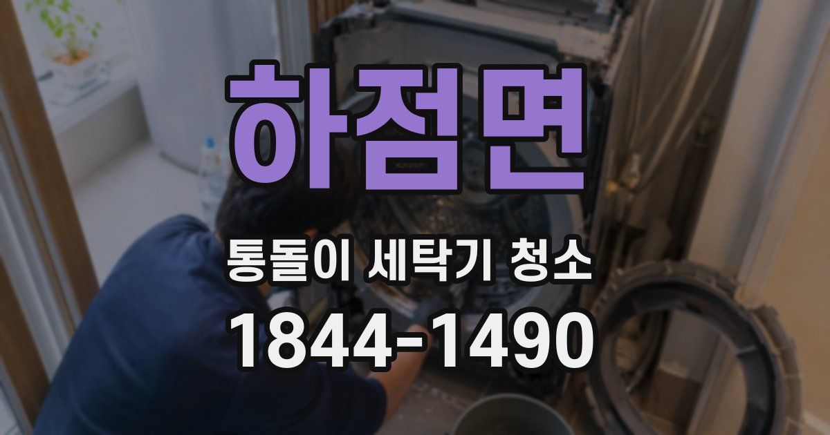 하점면 통돌이 세탁기 청소