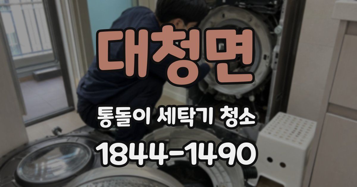 대청면 통돌이 세탁기 청소