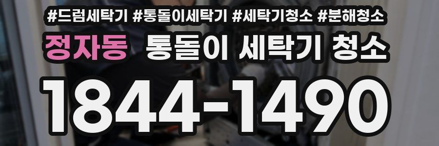 정자동 통돌이 세탁기 청소