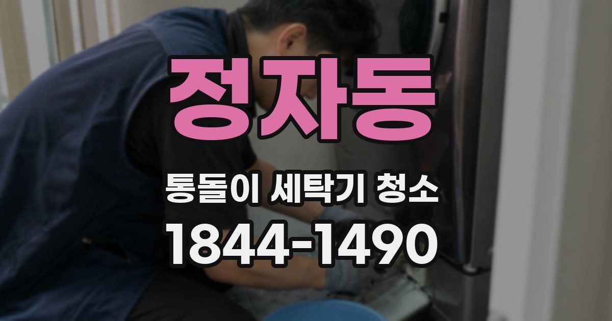 정자동 통돌이 세탁기 청소