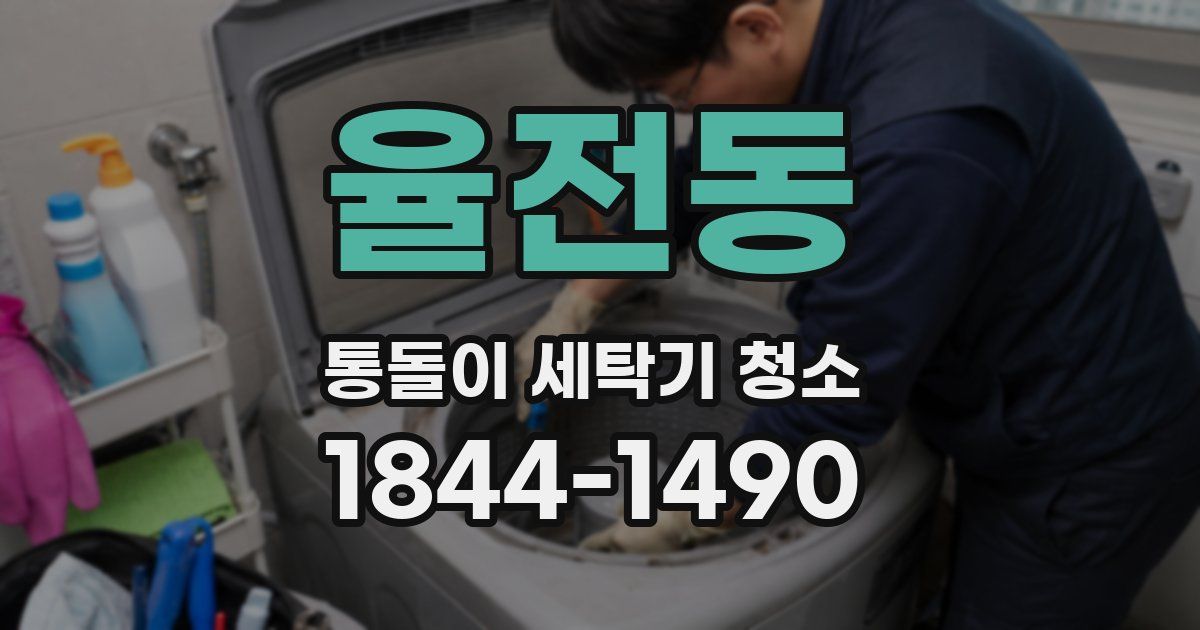 율전동 통돌이 세탁기 청소