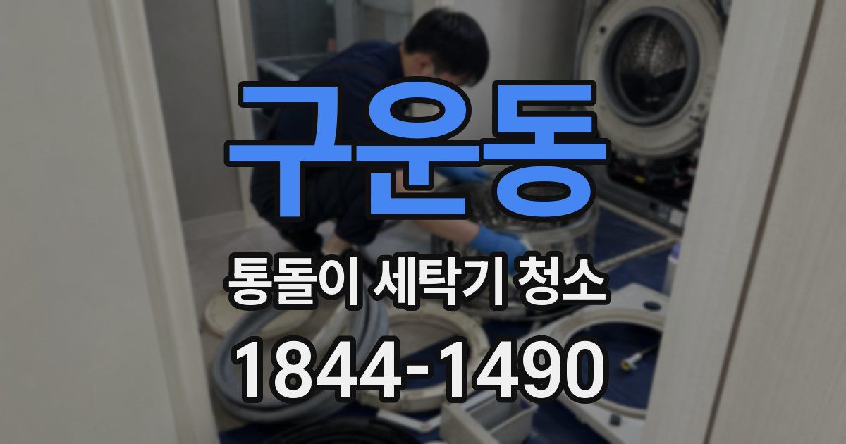 구운동 통돌이 세탁기 청소
