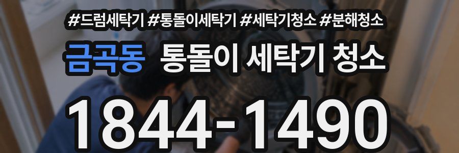 금곡동 통돌이 세탁기 청소
