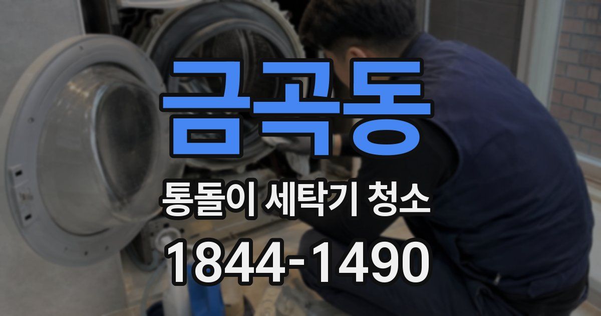 금곡동 통돌이 세탁기 청소