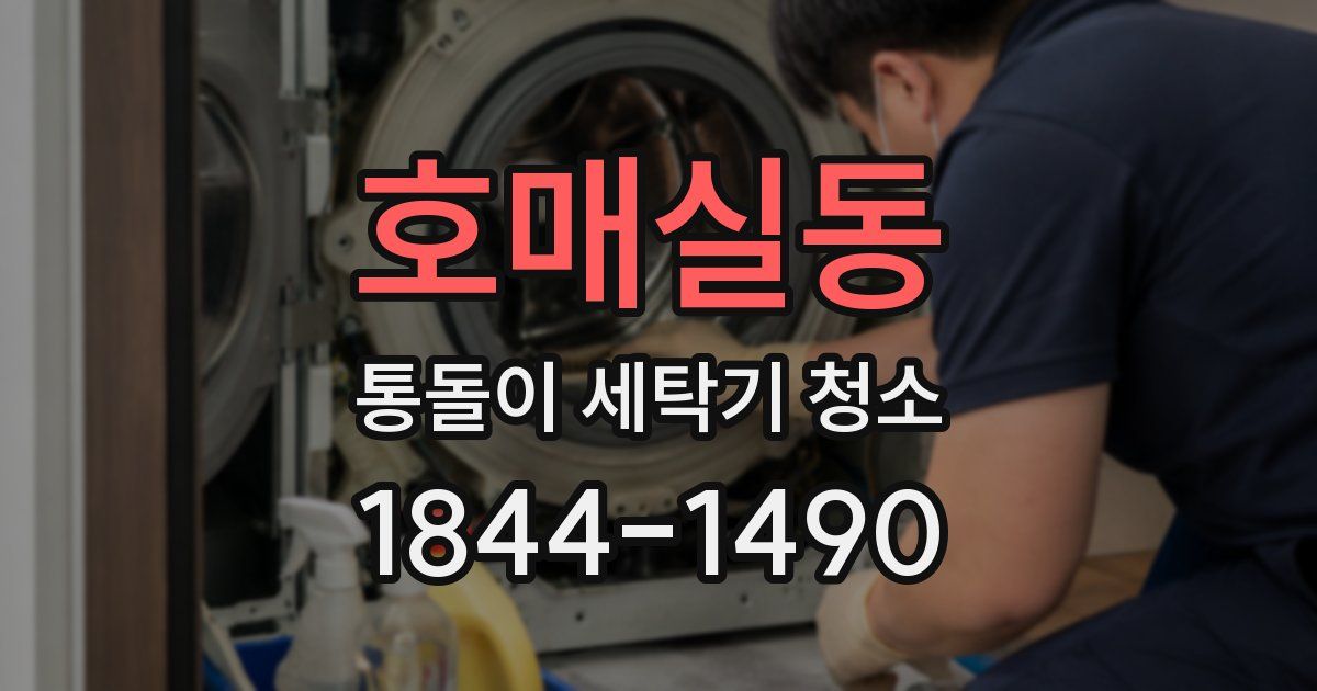 호매실동 통돌이 세탁기 청소