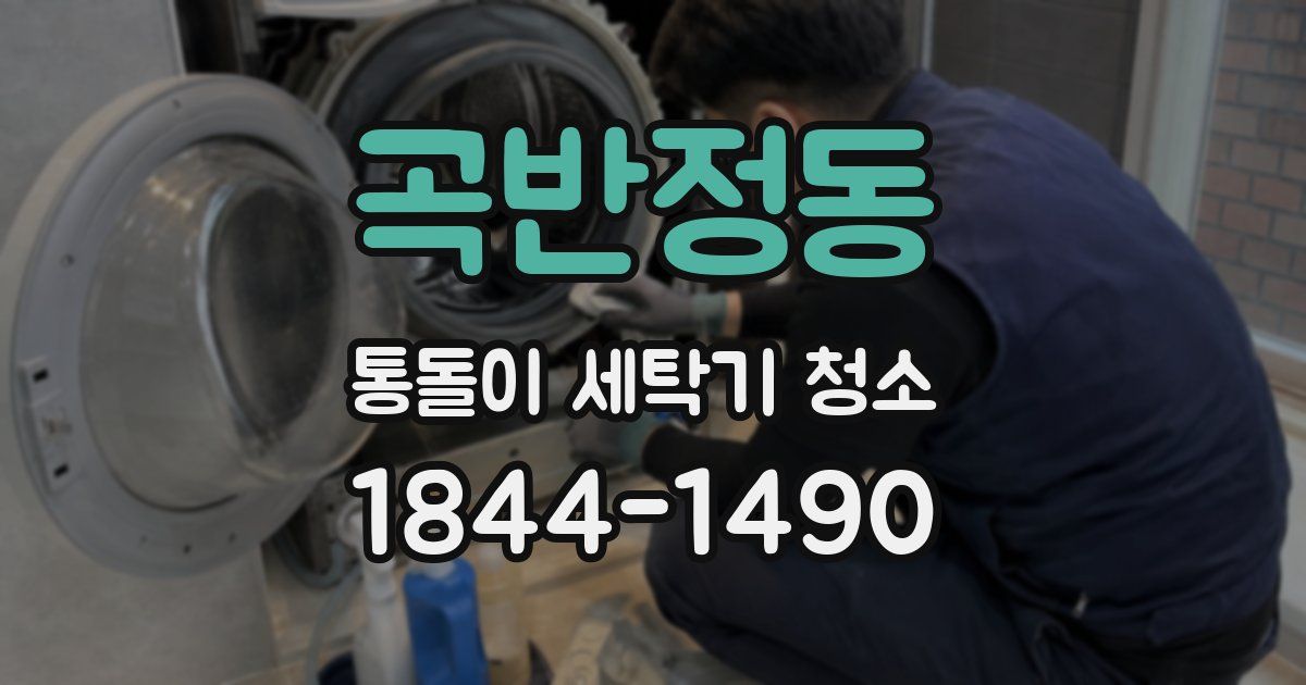 곡반정동 통돌이 세탁기 청소