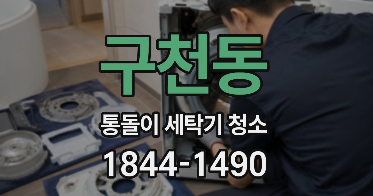 구천동 통돌이 세탁기 청소