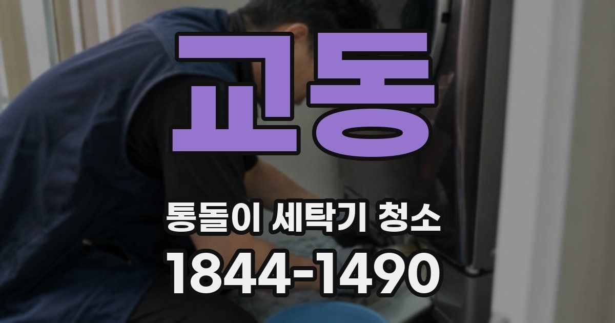 교동 통돌이 세탁기 청소