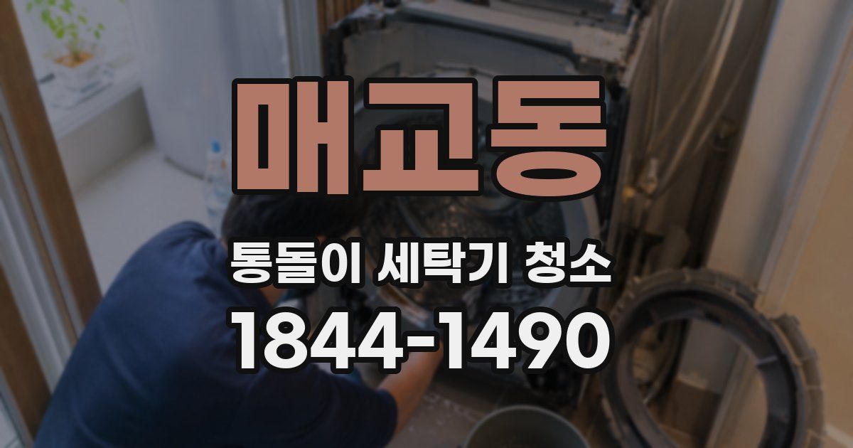 매교동 통돌이 세탁기 청소