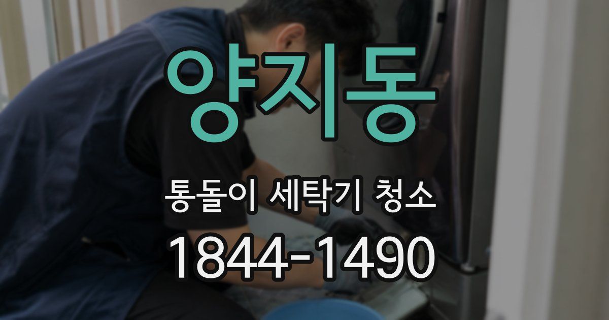 양지동 통돌이 세탁기 청소