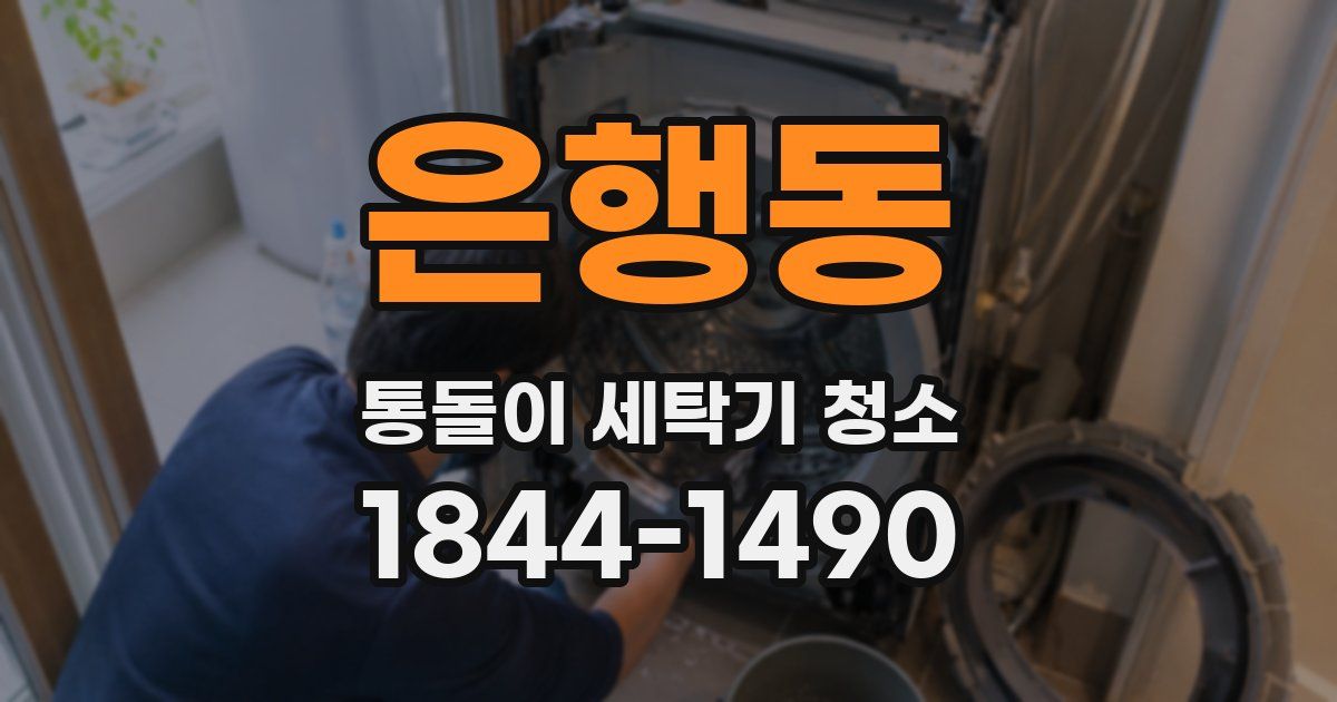 은행동 통돌이 세탁기 청소