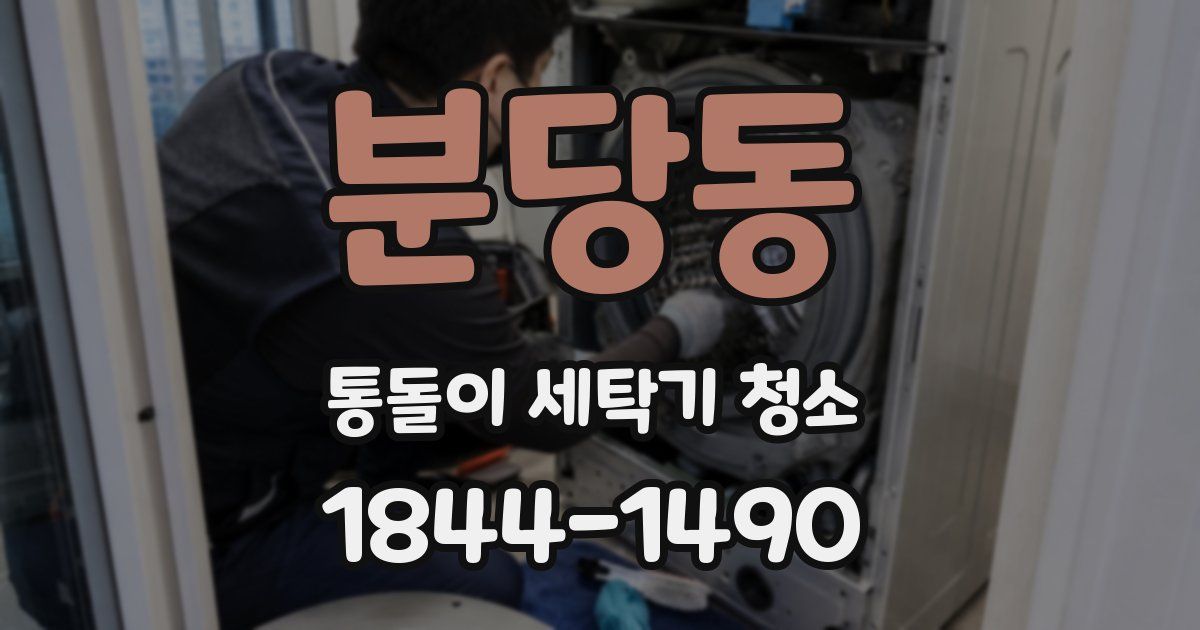 분당동 통돌이 세탁기 청소