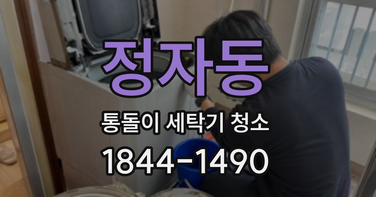 정자동 통돌이 세탁기 청소