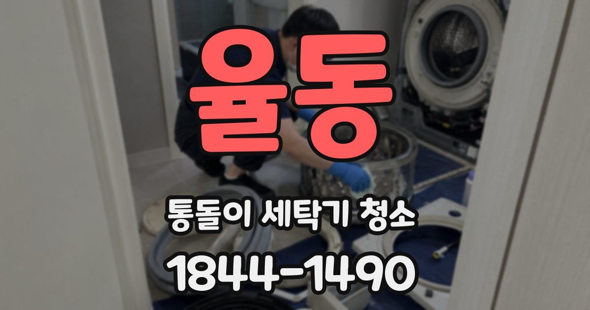 율동 통돌이 세탁기 청소