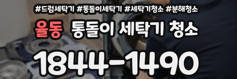 율동 통돌이 세탁기 청소