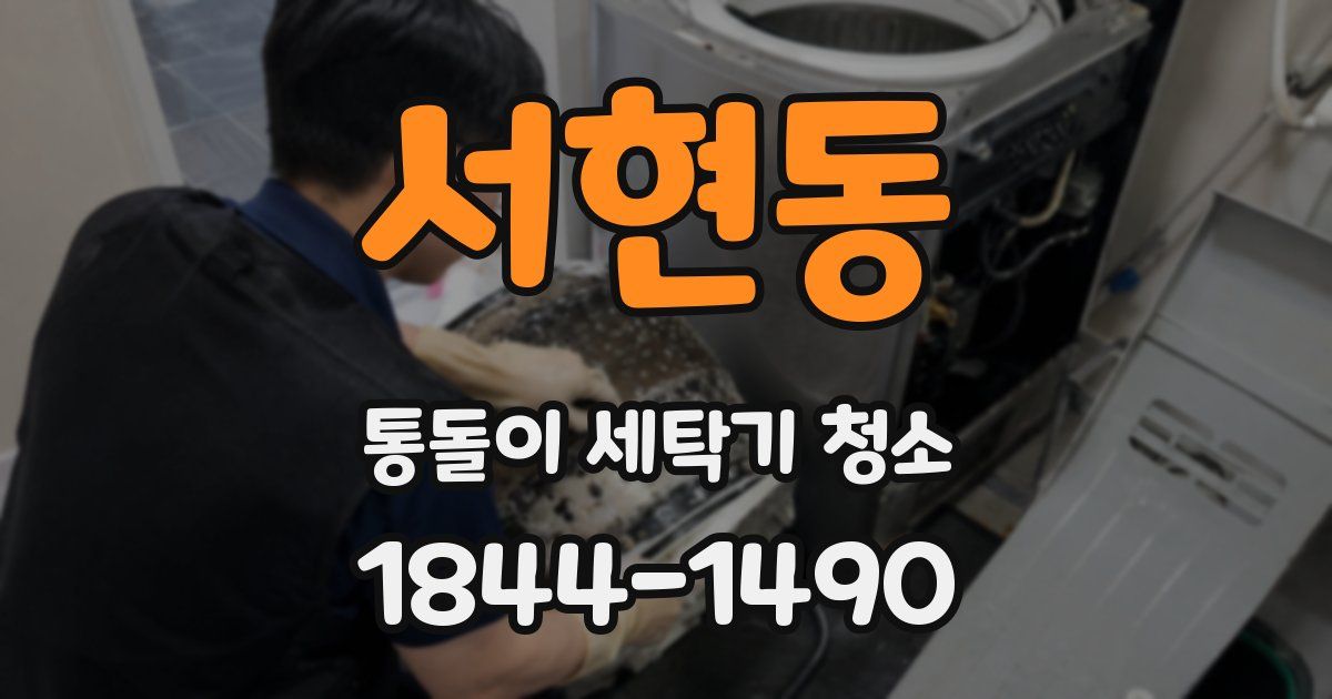 서현동 통돌이 세탁기 청소