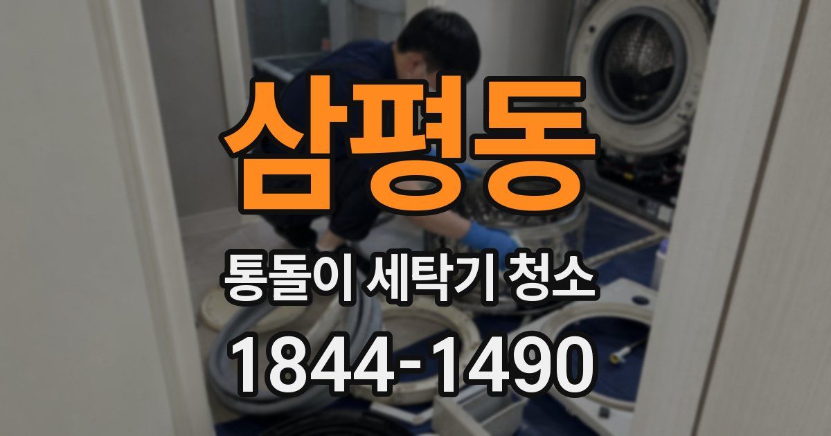 삼평동 통돌이 세탁기 청소