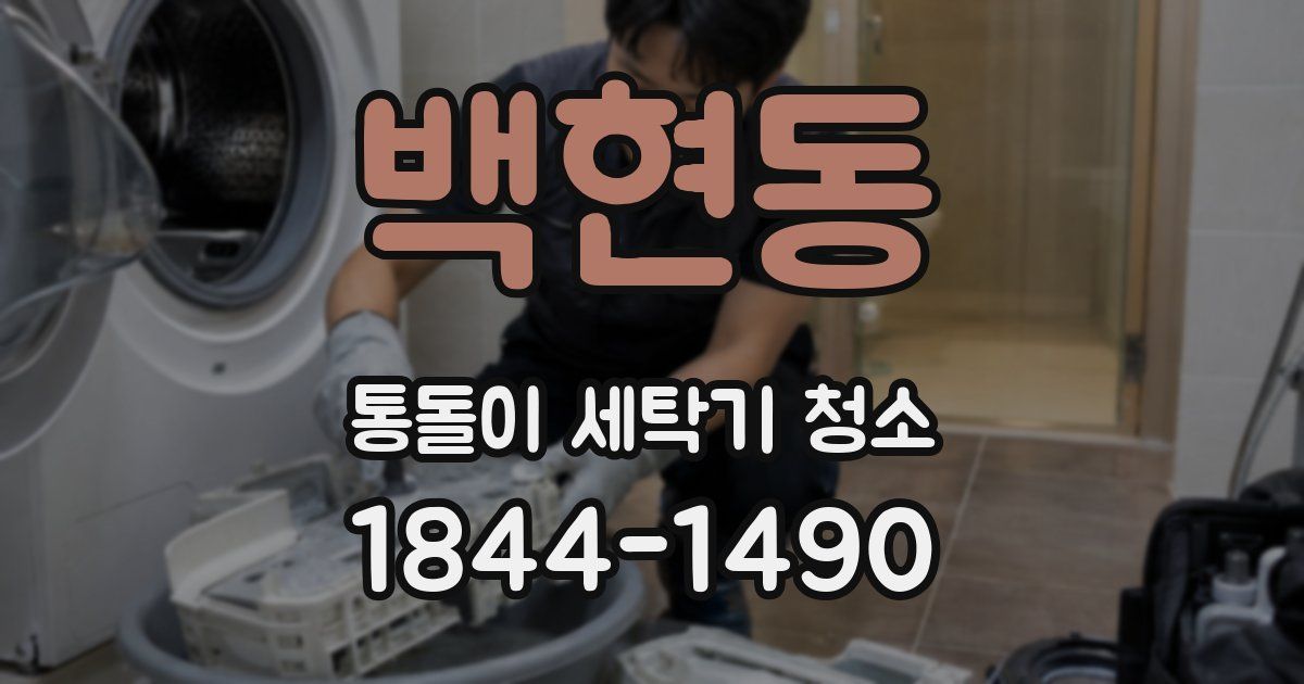 백현동 통돌이 세탁기 청소