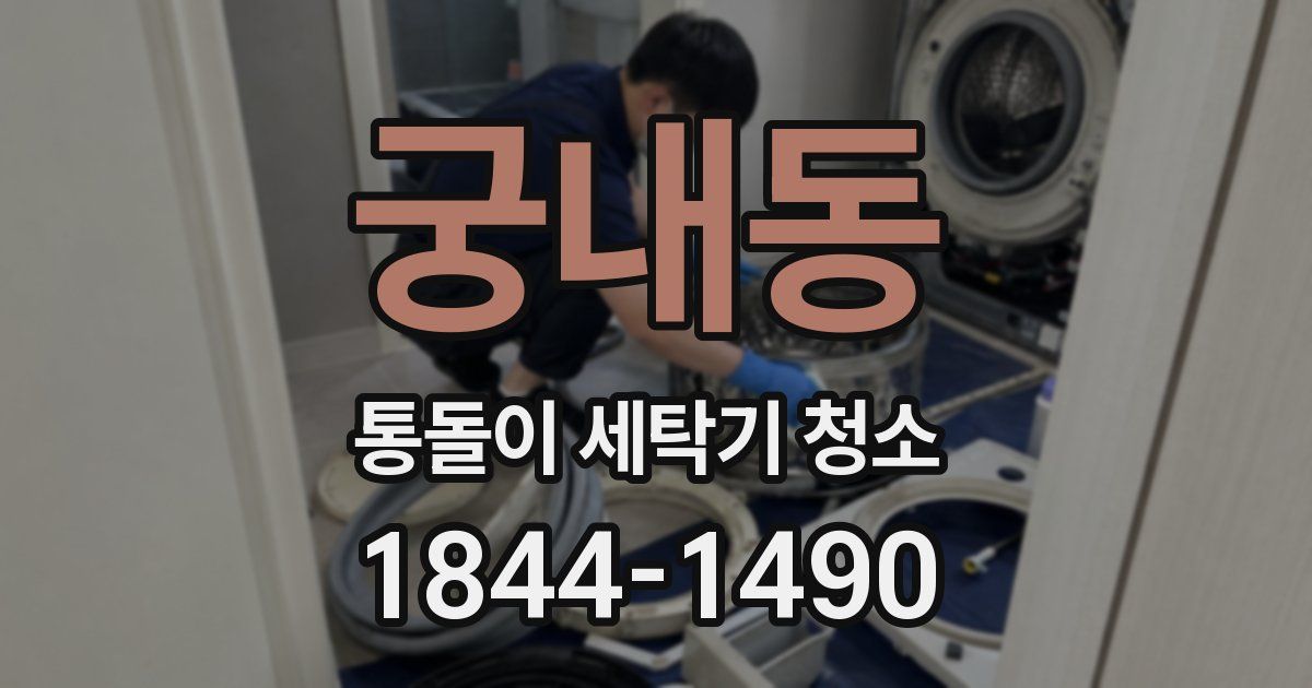 궁내동 통돌이 세탁기 청소