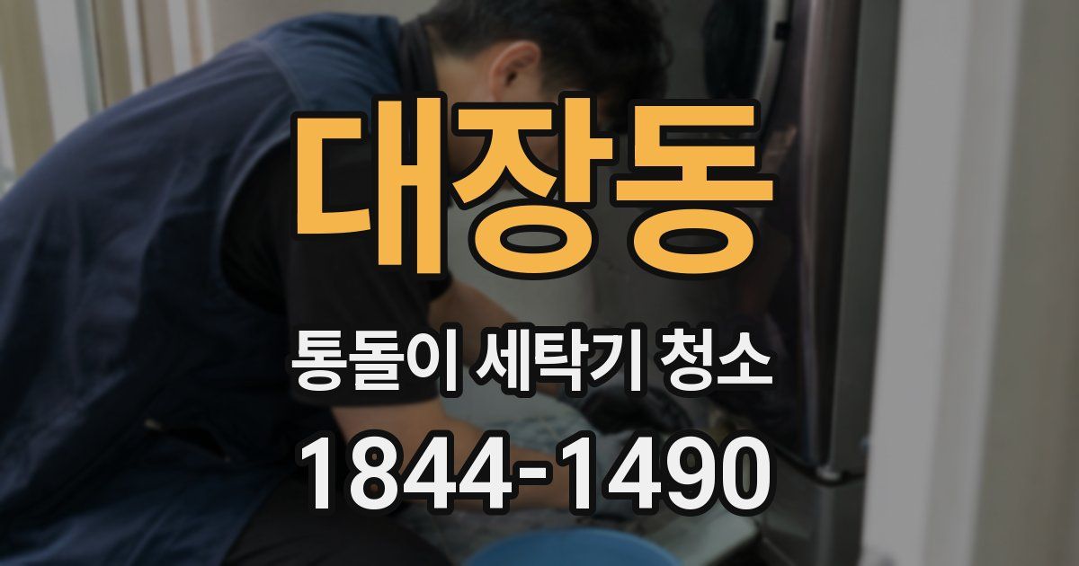 대장동 통돌이 세탁기 청소