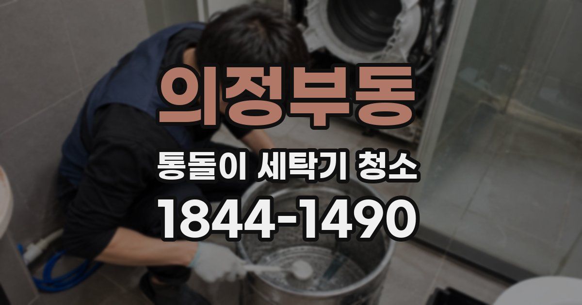 의정부동 통돌이 세탁기 청소