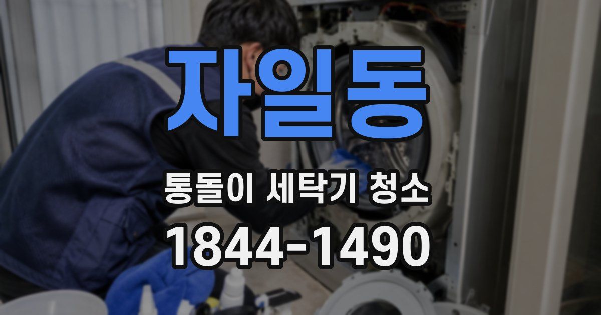 자일동 통돌이 세탁기 청소