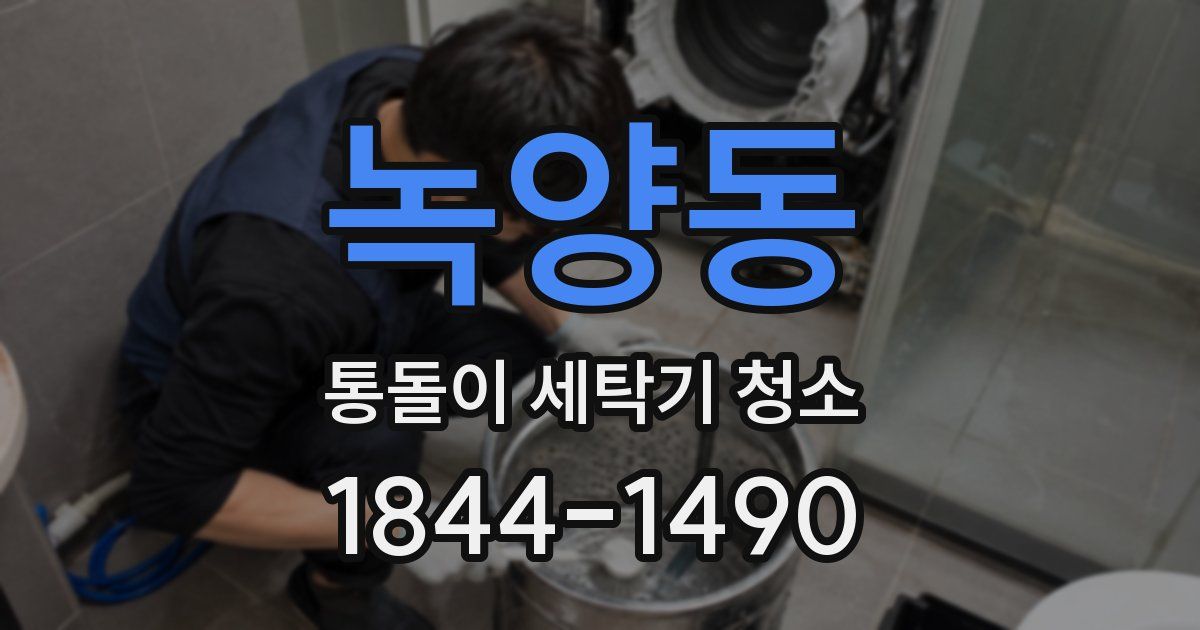 녹양동 통돌이 세탁기 청소