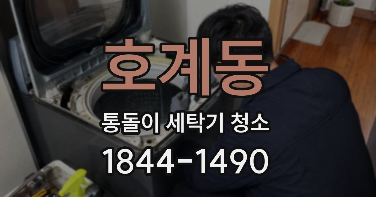 호계동 통돌이 세탁기 청소