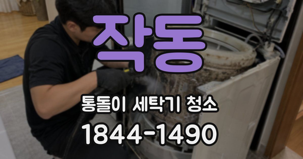 작동 통돌이 세탁기 청소