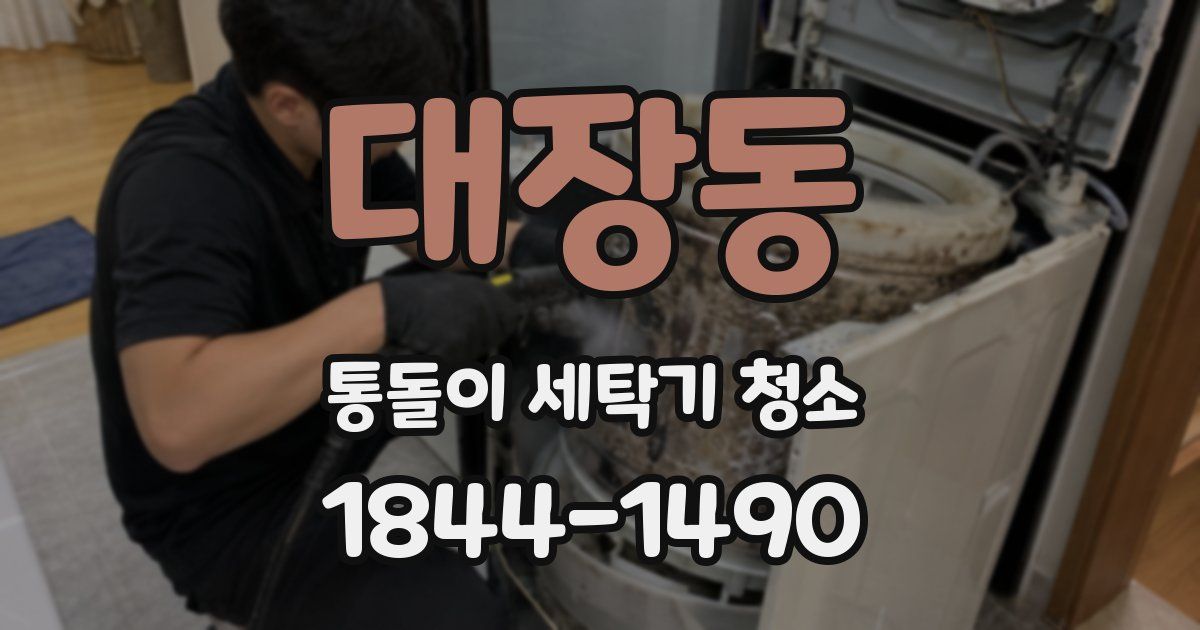대장동 통돌이 세탁기 청소