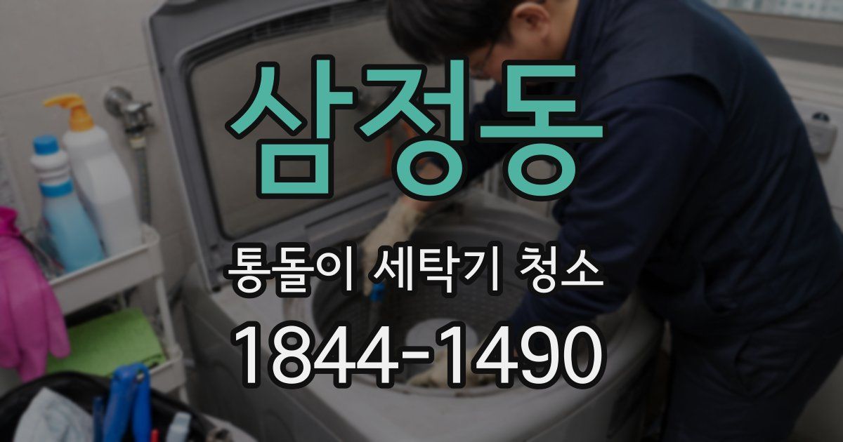 삼정동 통돌이 세탁기 청소