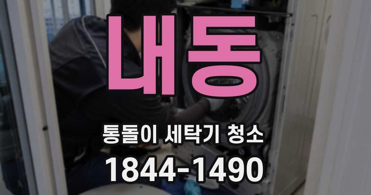 내동 통돌이 세탁기 청소