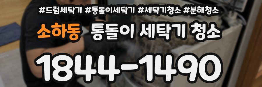 소하동 통돌이 세탁기 청소