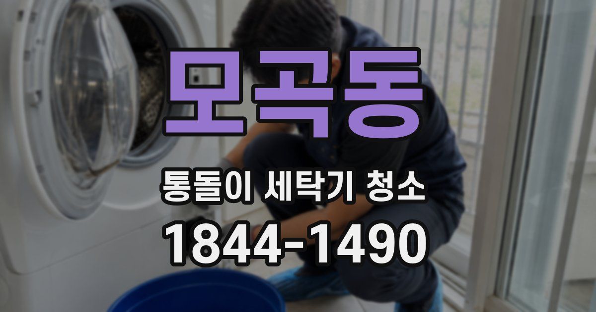 모곡동 통돌이 세탁기 청소