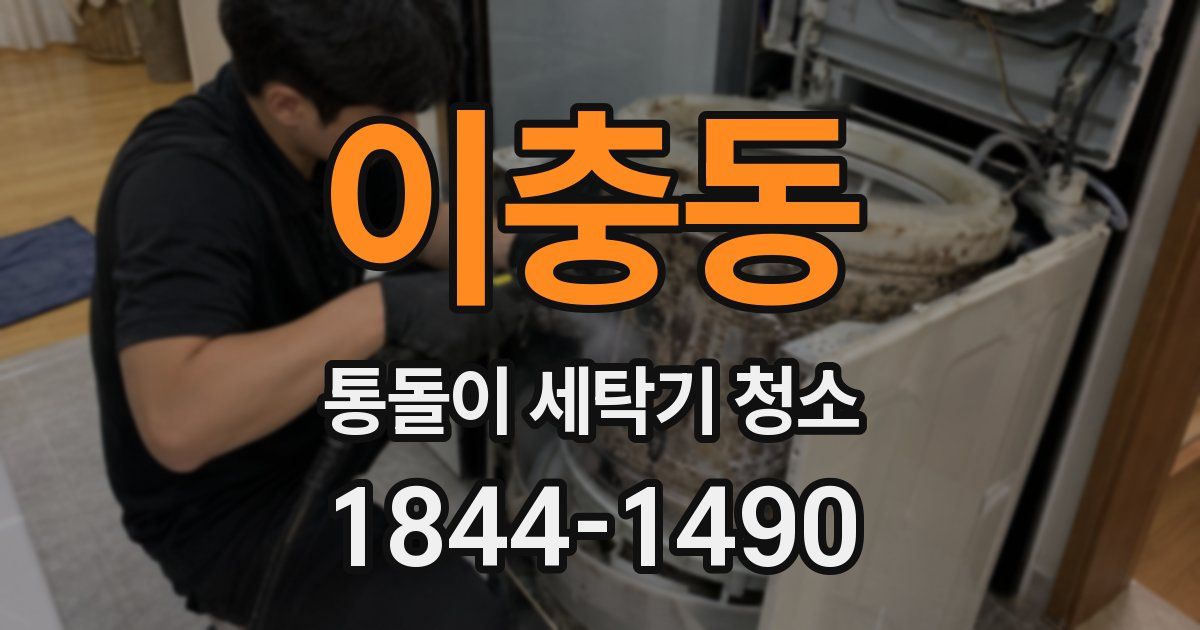 이충동 통돌이 세탁기 청소