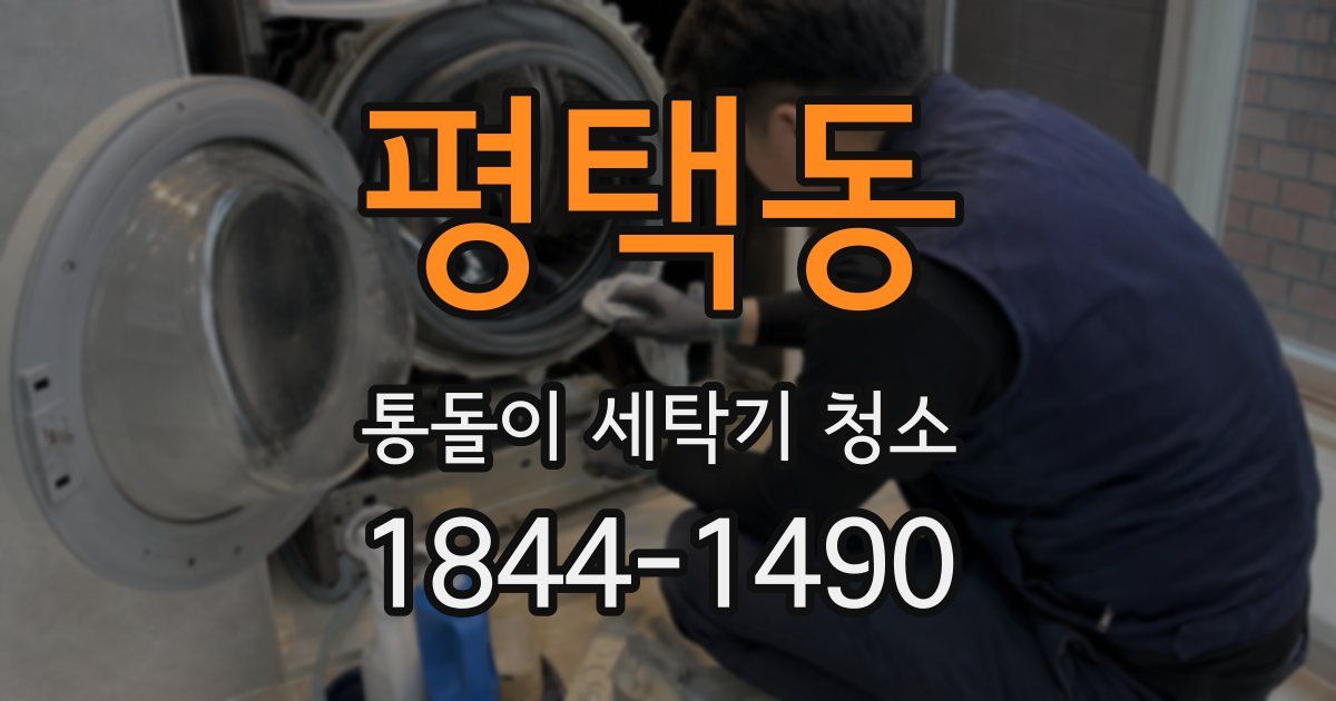 평택동 통돌이 세탁기 청소