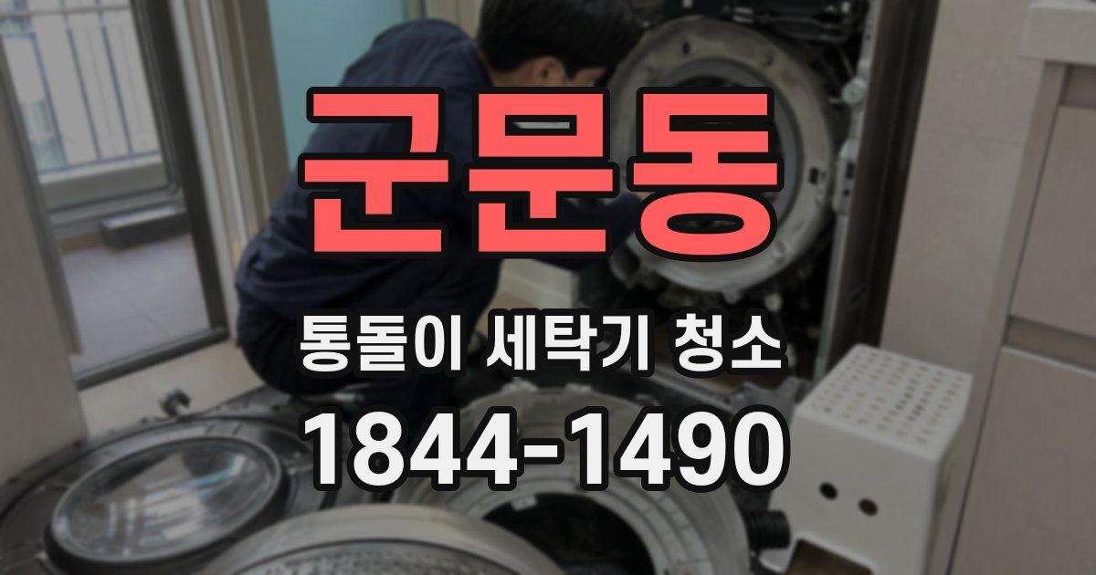 군문동 통돌이 세탁기 청소