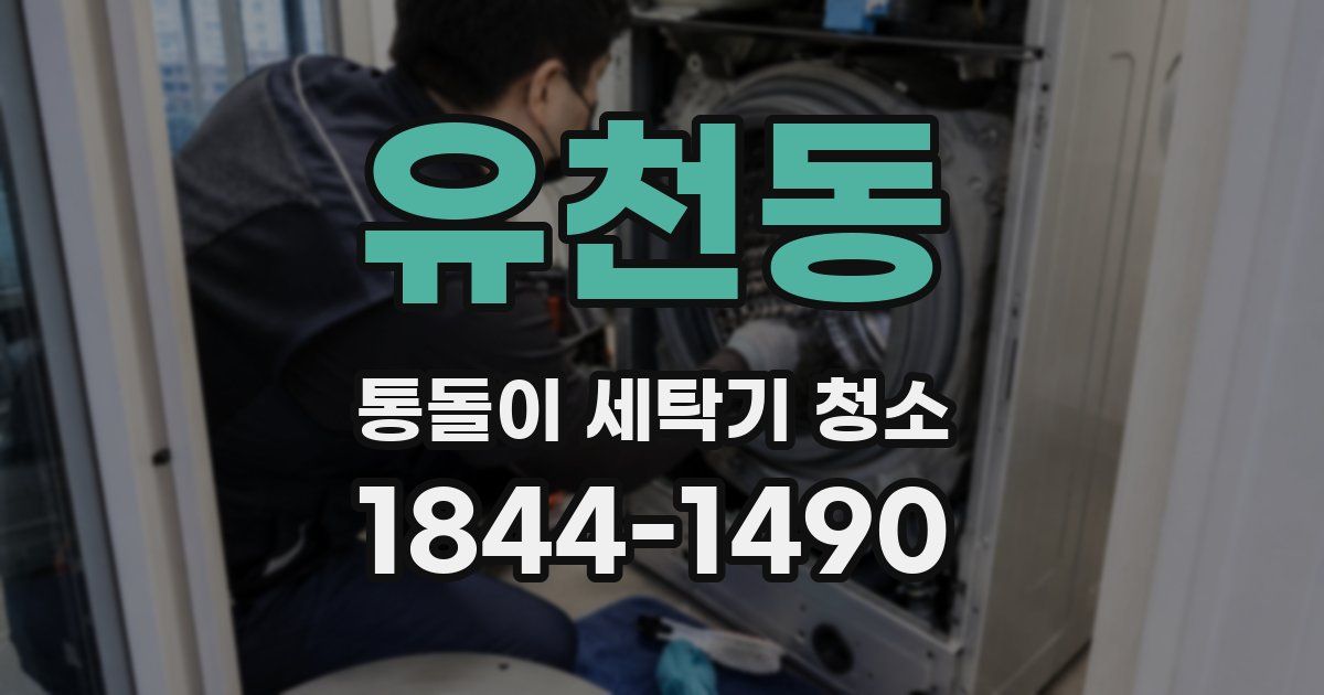 유천동 통돌이 세탁기 청소