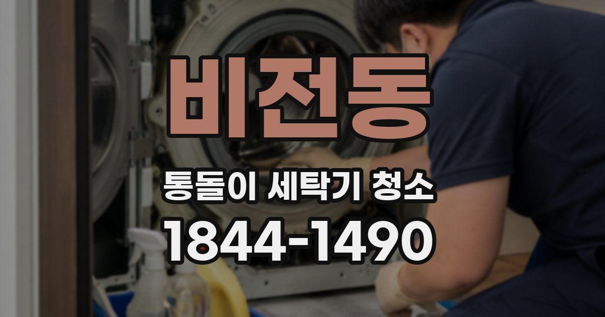 비전동 통돌이 세탁기 청소