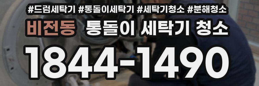 비전동 통돌이 세탁기 청소