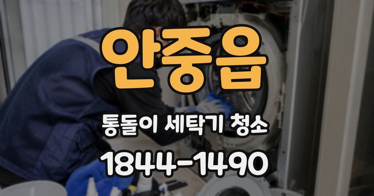 안중읍 통돌이 세탁기 청소