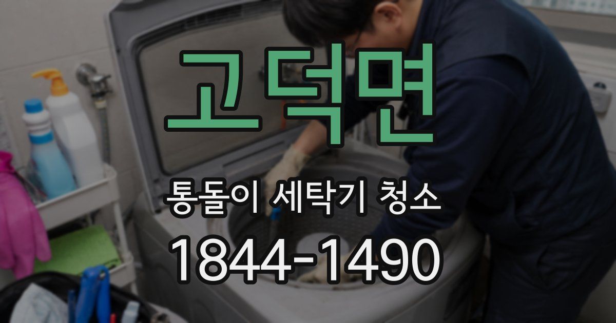 고덕면 통돌이 세탁기 청소